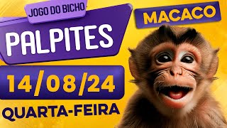 PALPITE DO DIA 14/08/2024 - JOGO DO BICHO 🍀 TODAS AS LOTERIAS 🍀