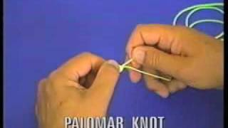 Polomar Knot