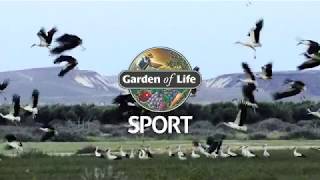 Garden of Life SPORT - Human Race