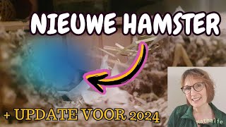 Nieuwe hamster en de update voor 2024