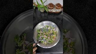 onion parantha crispy parantha #onionparatharecipe #viral #ytshorts #food #homerecipesbyseema