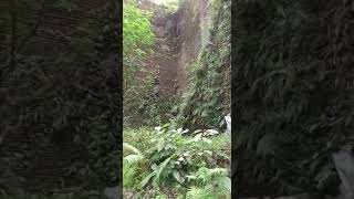 AIR TERJUN TERSEMBUNYI SUMAMPAN GIANYAR | sumampan hidden waterfall in Gianyar, Bali.