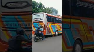 Jelajahi kota-kota terindah bersama rosalia indah #bismaniacommunity #videoshort #fansrosin