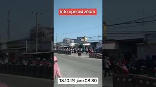 Bagian: 145  info Rajia zebra bos ku