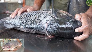 Amazing Fish Cutting Skills | Fish Cutting By Machine | Fish Cutting By Ignorant People | Fish