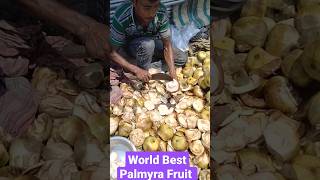 World Best😜Palmyra Fruit Eating #palmyrafruit #shorts #food