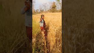 bundeli Rai short video pls subscribe