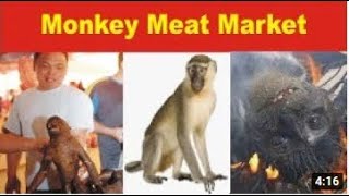 Just about 3 minutes of monkey meat market madness