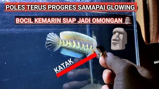 WAKTUNYA JAWDAL MAKAN KATAK,TETAP JAGA POLA PAKAN UNTUK HASIL YANG MAXIMAL  #auranti #dorsalpolos