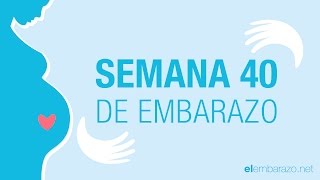 Semana 40 de embarazo | 40 semanas de embarazo | El embarazo semana a semana