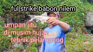 heran ikan nilem di sini.. udah 3 Minggu haup terus malah tambah gacor