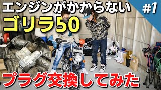 諦めかけてましたが、ふみっちょ兄貴が助けに来てくれました【7万円で購入したゴリラ50】