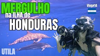 Fomos parar em UTILA com a GALERA! #mergulhonocaribe 》EP#14_VLOG