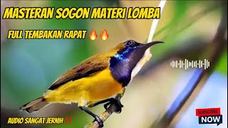 MASTERAN SOGON BAHAN FULL TEMBAKAN RAPAT 🔥🔥#sogon #sogontrotol #sogonbahan