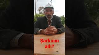 Şarkının adı nedir?