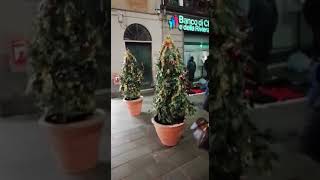 Divertente - Persona che finge di essere un albero di natale - Video virale troppo divertente!