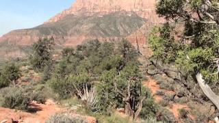 Zion National Park: The Watchman Trail