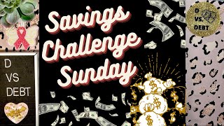 Savings challenge Sunday: chatty updates (spoiler alert - someone broke into my neighbor’s house!)