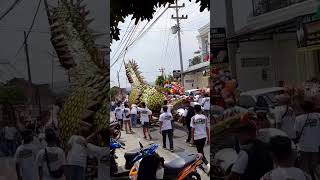 arak-arakan monster naga hijau raksasa karnaval pingit 2023 #shorts