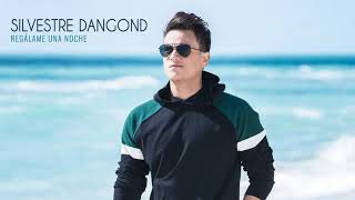 Regalame una noche silvestre dangond (audio)