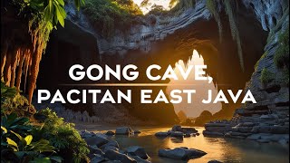 Gong Cave, Pacitan East Java