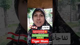 How to say in Lebanese Arabic "I got surprised"#tigermum#shorts #learnlebanese