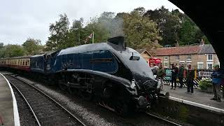 PRD STEAM - North Yorkshire Moors Railway Autumn Steam Gala 2023