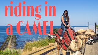 Riding in a CAMEL somewhere in JERICHO