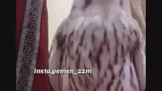 حالات واتس اب يمنيه