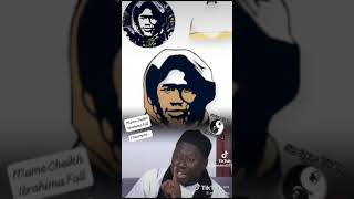 Mame Cheikh Ibrahima Fall L'Incompris