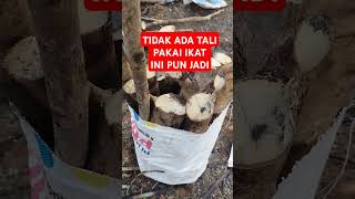 🔴Tidak ada tali pakai ini pun jadi🔴 #shorts #youtubeshorts