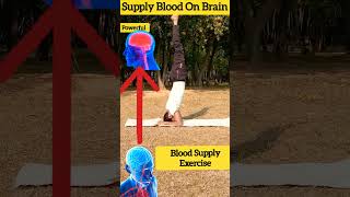 Supply Blood On Brain | How To Supply Blood On Head ||