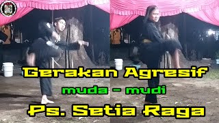 Gerakan dalam bentuk Tradisi seni pencak Silat .. ||