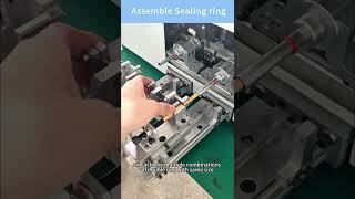 Assemble Seal ring#machine #precisionmanufacturing #industrialmachinery #chinafactory #servomotor