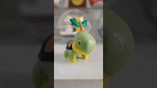 Turtwig en la vida real #pokemon #shorts