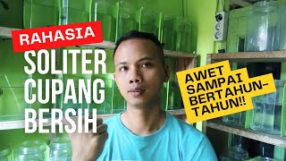 Rahasia soliter cupang bersih dan awet sampai bertahun-tahun!!! @dadanbetta_id