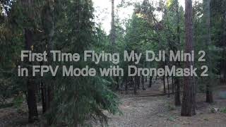 First Time Flying My DJI Mini 2 in FPV Mode with DroneMask 2