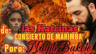 las Katrinas le dedican consierto de marimba a Nayib Bukele tras su llegada al lugar