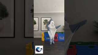 Dancing shark