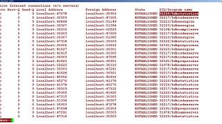 19.3 netstat command