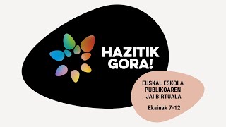 Euskal Eskola Publikoaren Jai birtuala, laburpena