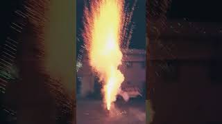 PIRATES | Real Brand | Single Shot | Golden palm shape | Pappa Fireworks | Diwali 2022