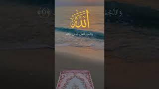 Surah Rahman|Surah Rehman|surah Rehman ki fazilat #short #qariabdulbasi#Quran #tilawat