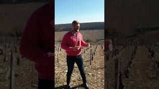 Agnes et Didier Dauvissat at their Chablis vineyard next door to Blanchot Grand Cru.