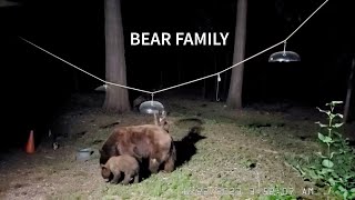 Bear family🎶