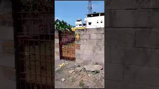 pallikaranai -- iit colony residential land sale