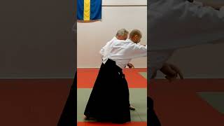 Aikido technique IKKYO compared to SWORD moves, by Stefan Stenudd