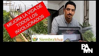 Emprendedores Berracos: Diego Benítez de Siembraviva