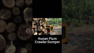 Hunan Plum crawler dumper log truck timber truck wood transportation