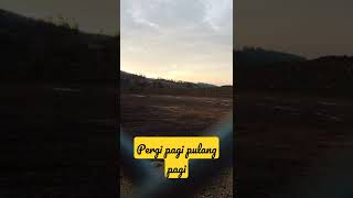 pergi pagi pulang pagi